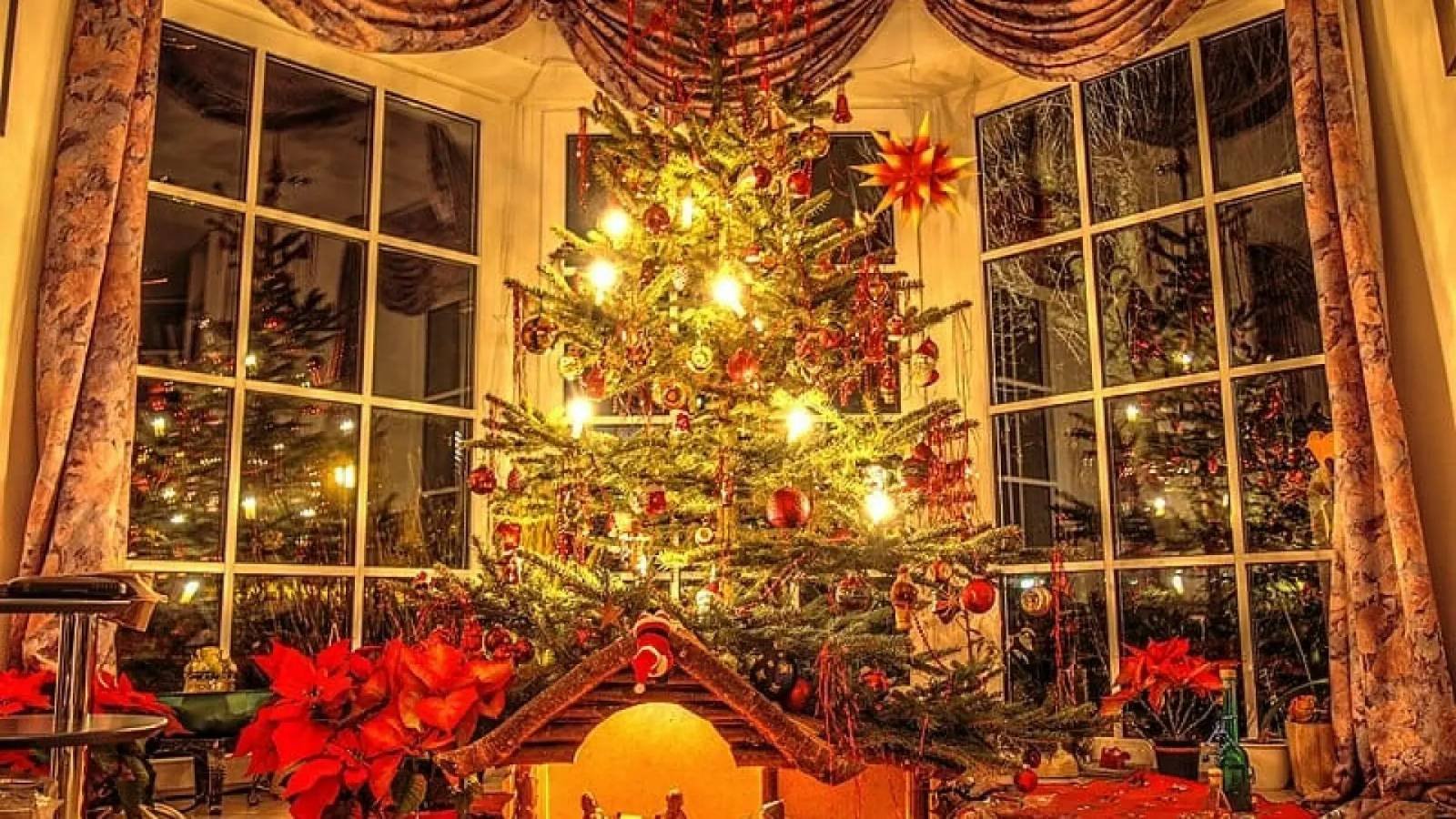 800px-Christmas_Tree_56651310-1920x1080-c-center
